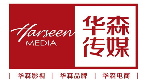 簡(jiǎn)視傳媒 山東華森視覺文化傳媒的視覺敘事藝術(shù)